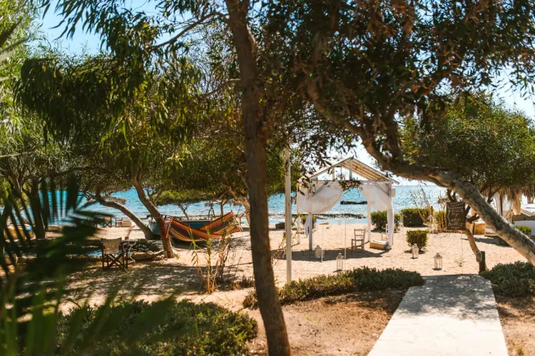 Pine trees shading a path down to the beach ceremony set-up at Thalassines Beach Villas