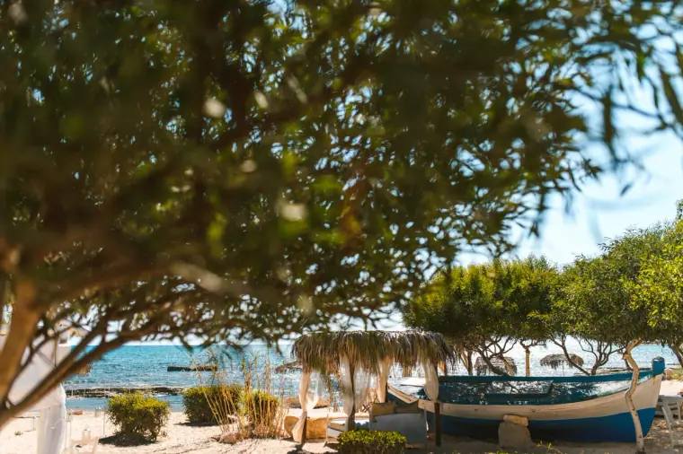 Wooden fishing boat and thatched parasols on the beach seen through pine branches, Ayia Napa