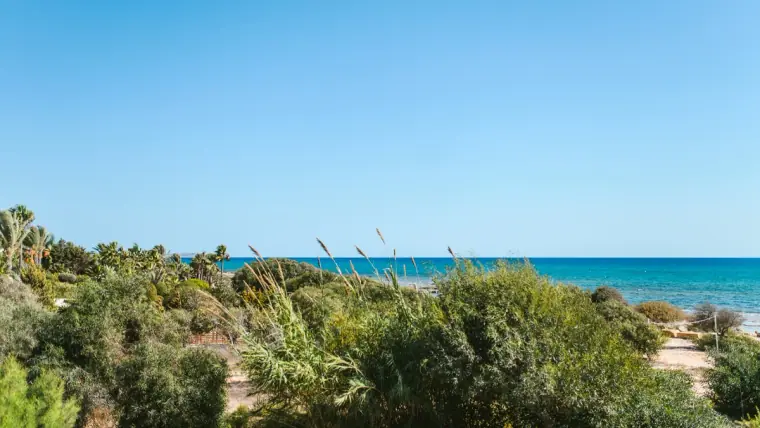 Coastal scrub and wild grasses leading down to the turquoise sea near Ayia Napa
