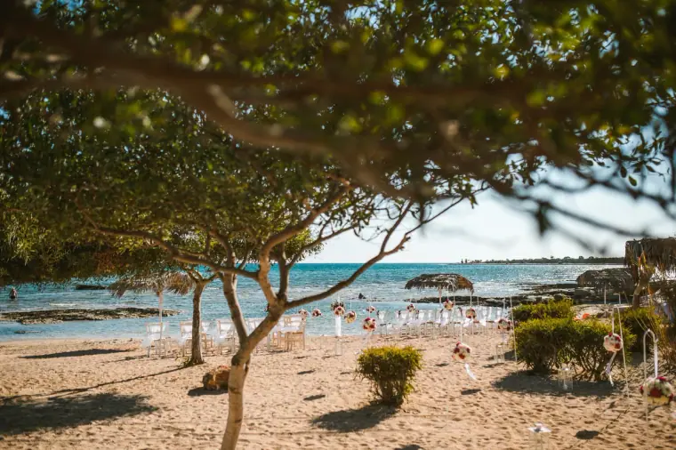 Ceremony aisle on the sand framed by pine trees and the blue sea