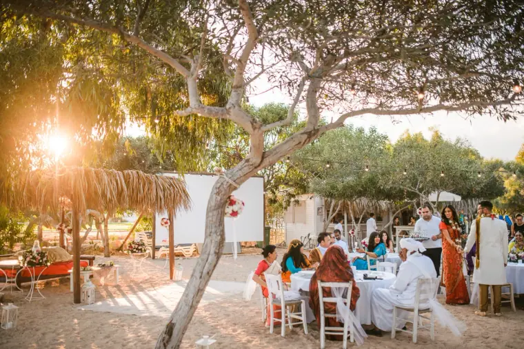 Guests dining at tables under pine trees as the sun sets through the branches