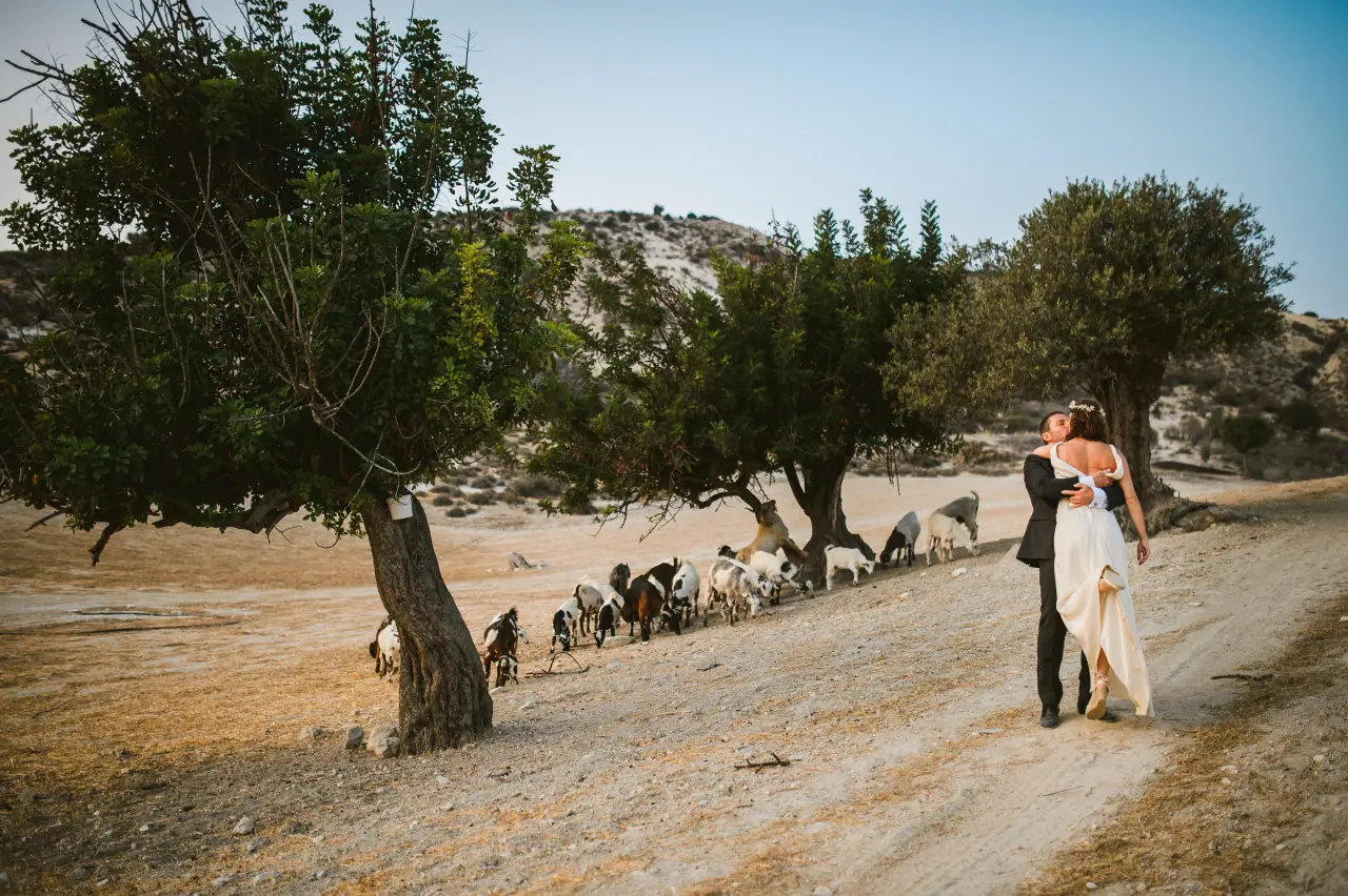 Fleur and Kazem embracing on a dusty track as a herd of goats passes beneath olive trees