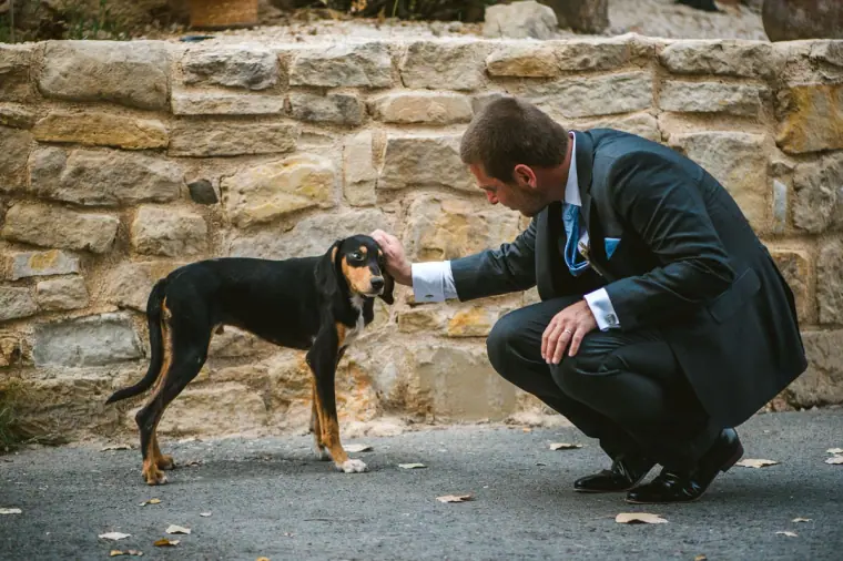 Groom crouching to pet a black and tan dog by a stone wall