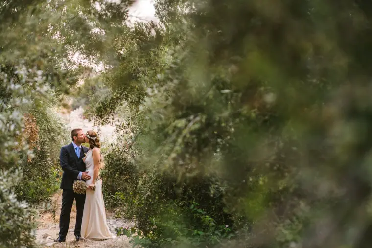 Newlyweds embracing on a path framed by olive trees