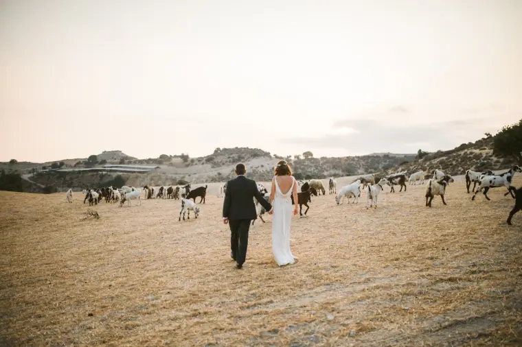 Newlyweds walking hand in hand across a dusty plain towards grazing goats