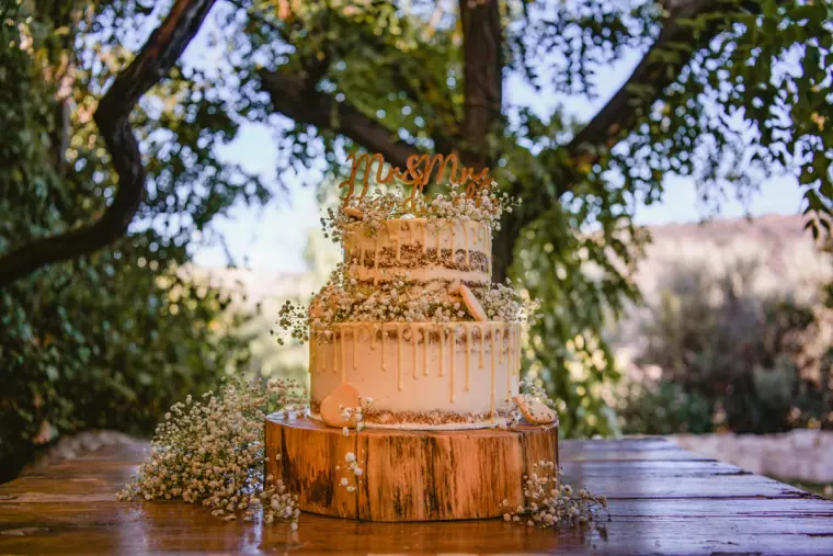 Rustic semi-naked wedding cake with gypsophila on a log stand beneath a tree