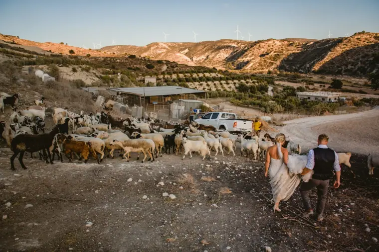 Bride and groom walking towards a goat farm in the hills near Nikokleia