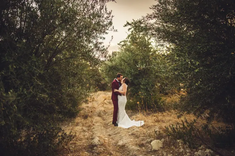 Couple standing together at the end of a grassy path through an olive grove