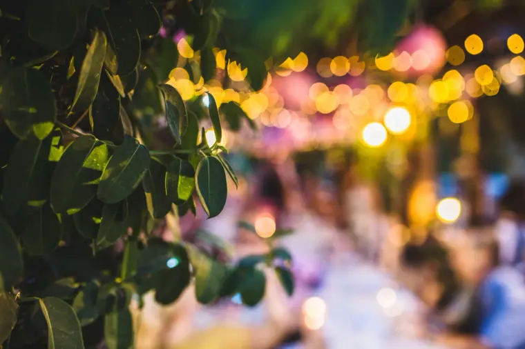 Long reception tables under fairy lights, softly blurred through leaves