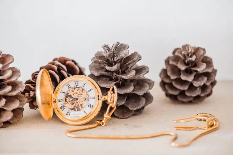 Gold pocket watch with a skeleton dial among pine cones