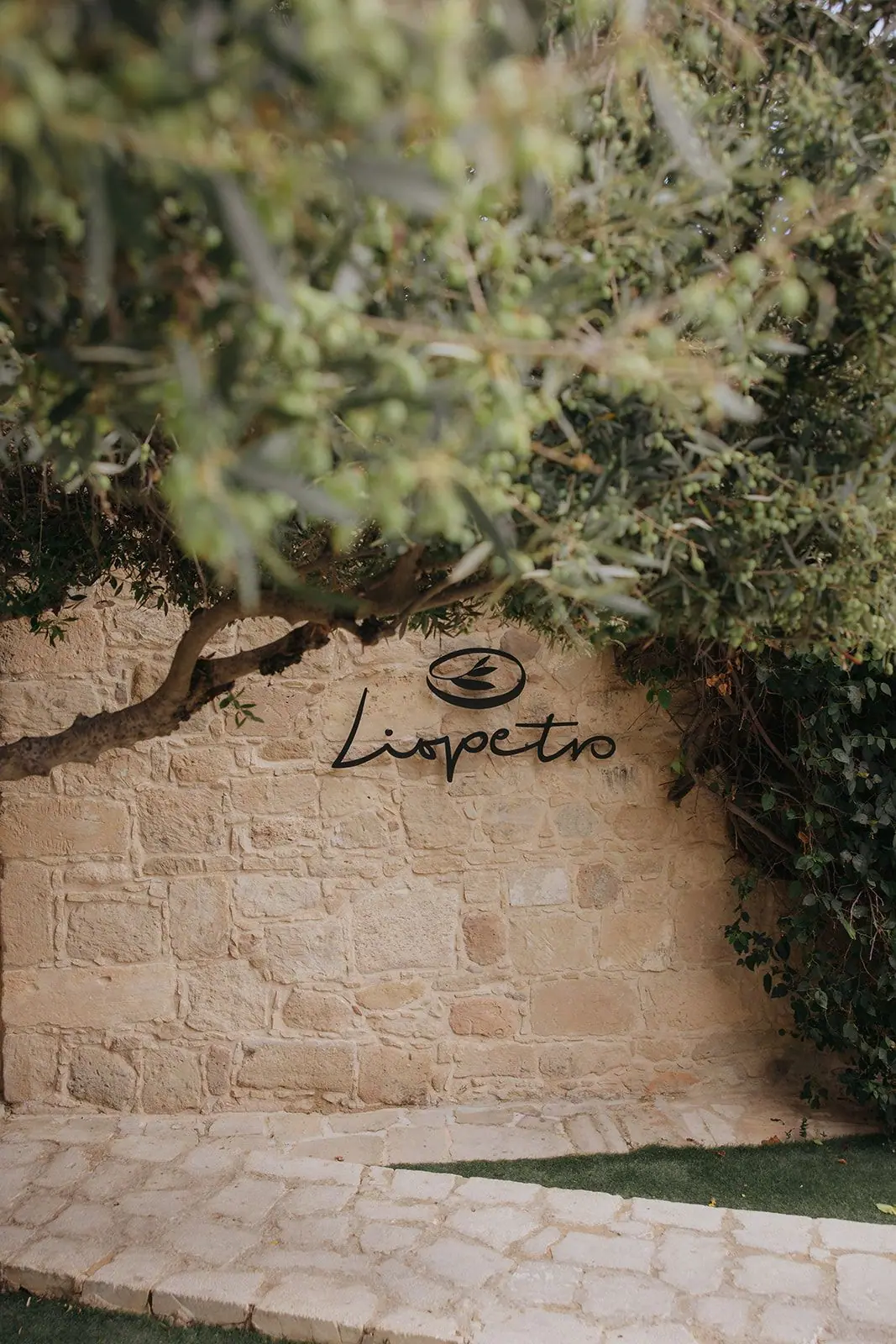 Liopetro sign carved into a stone wall beneath an olive tree in Kouklia, Paphos