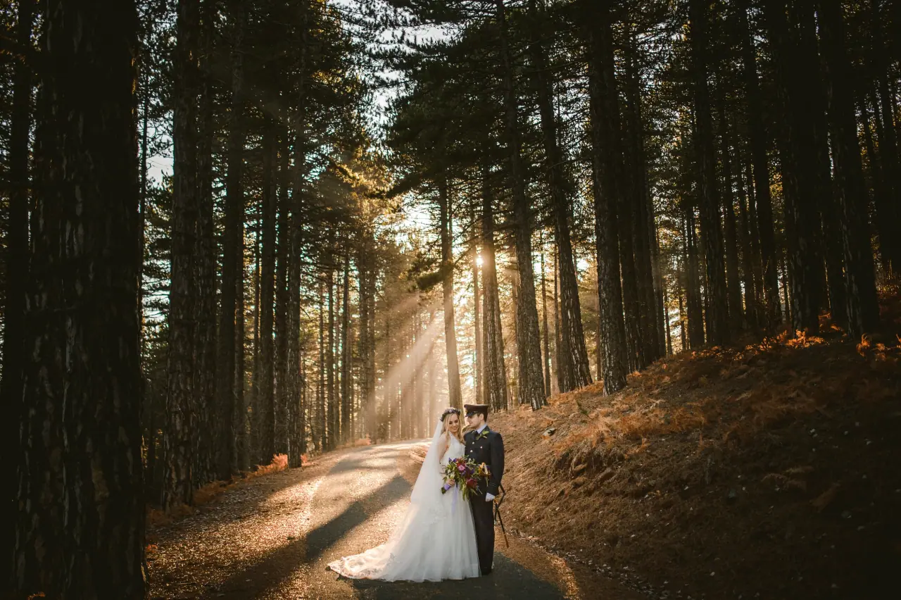 Bride and groom on a pine forest track lit by shafts of sunlight