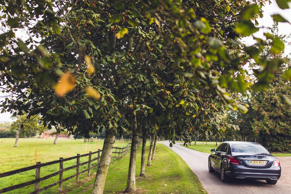 tree lined avenues