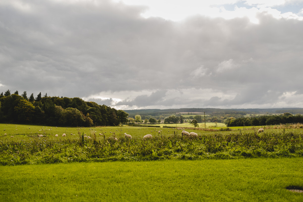 stunning tyne valley views