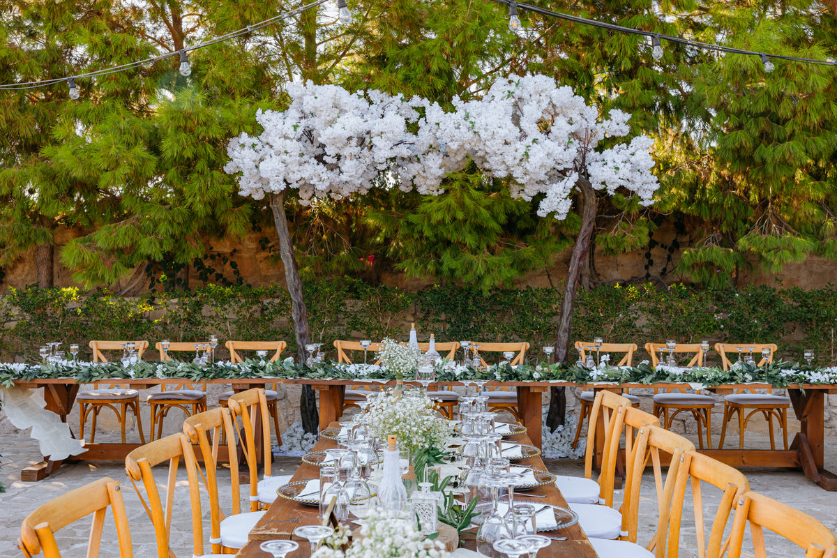 Liopetro Cyprus Wedding Photography 10
