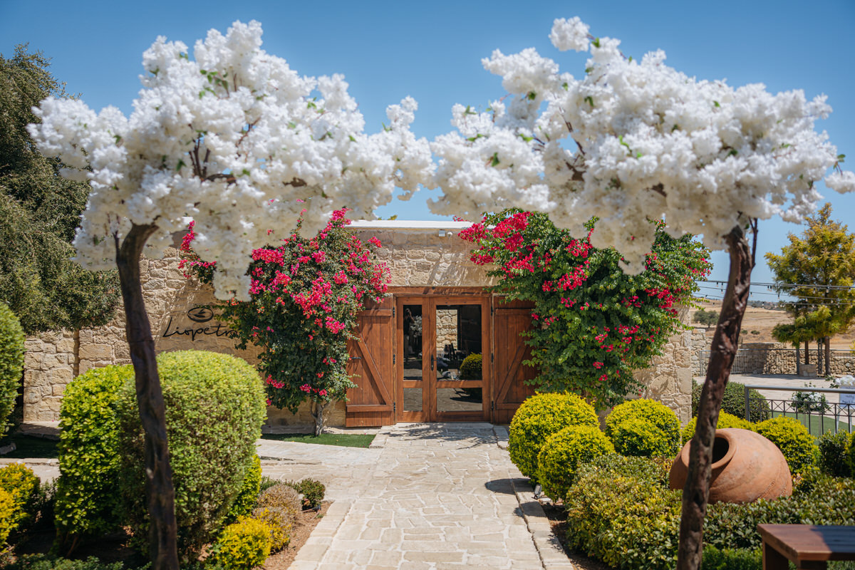 Liopetro Cyprus Wedding Photography 8